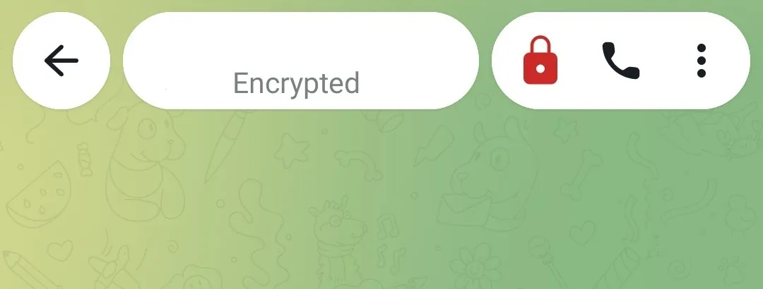 The same header after encryption is turned on: the title reads Encrypted and the lock is filled red.