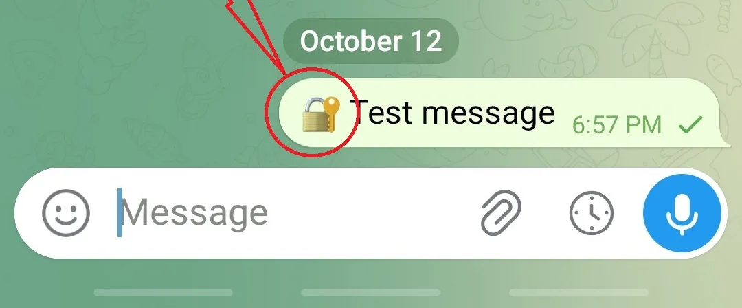 A sent text message carrying the small lock marker that identifies it as encrypted.